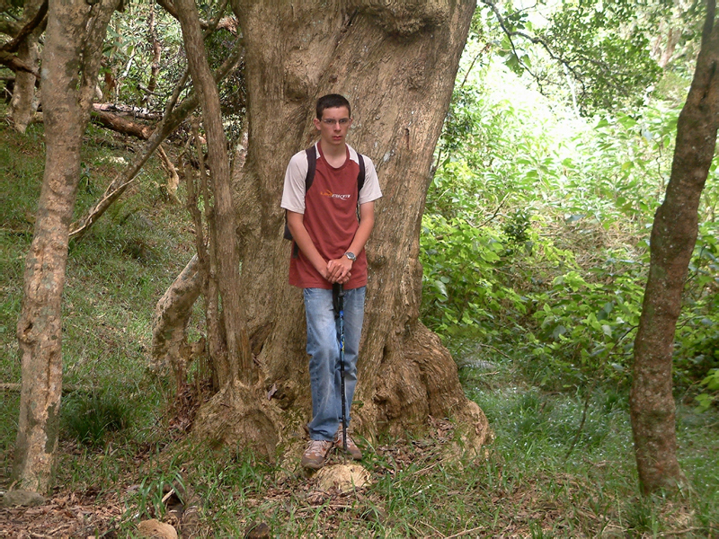 136_Ilet Alc
