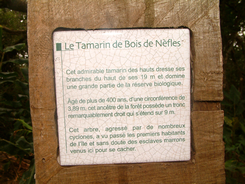 142_Ilet Alc