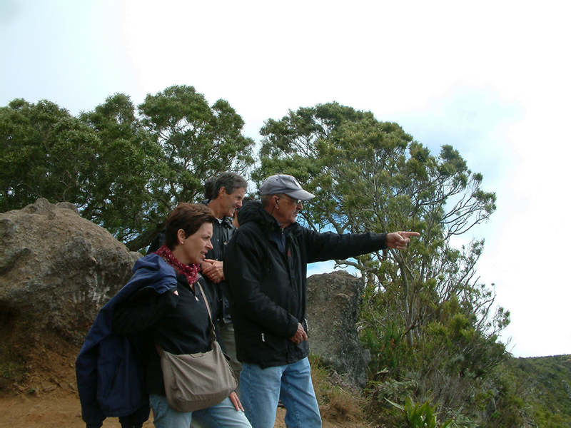 98_Piton M