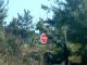 110_Coe ES