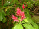 49_Jardin Eden