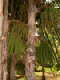 51_Jardin Eden