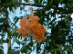 54_Jardin Eden