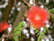 58_Jardin Eden