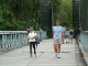 79_Pont