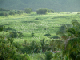 91_Gd Anse