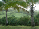 92_Gd Anse