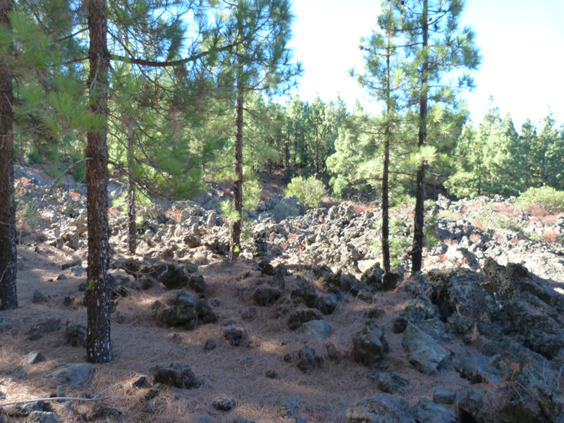 2016-10-11 11-53-41 - Tenerife
