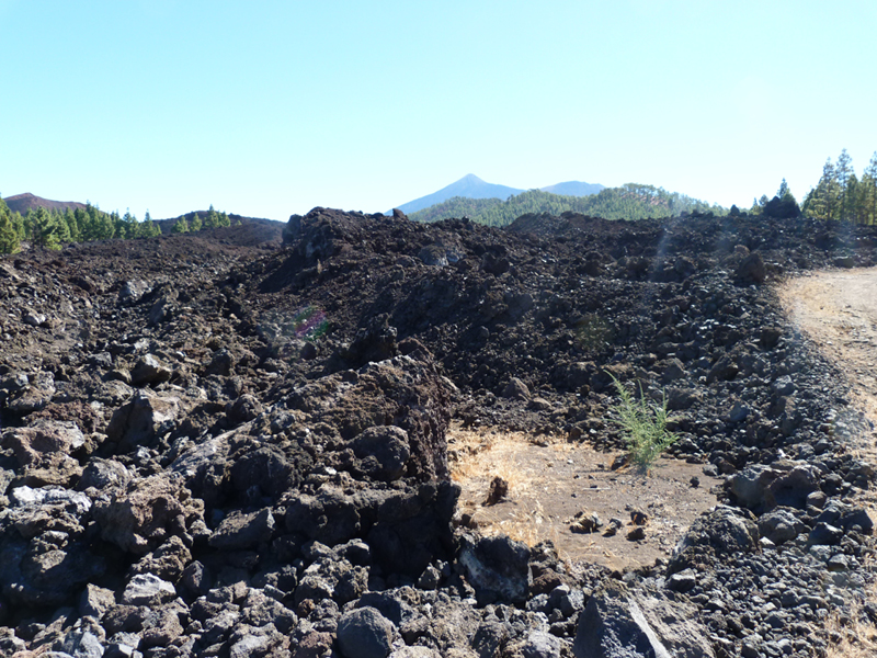 2016-10-11 12-57-19 - Tenerife