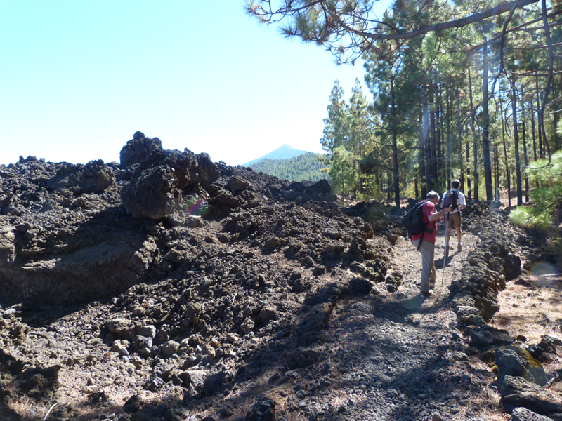 2016-10-11 13-00-57 - Tenerife