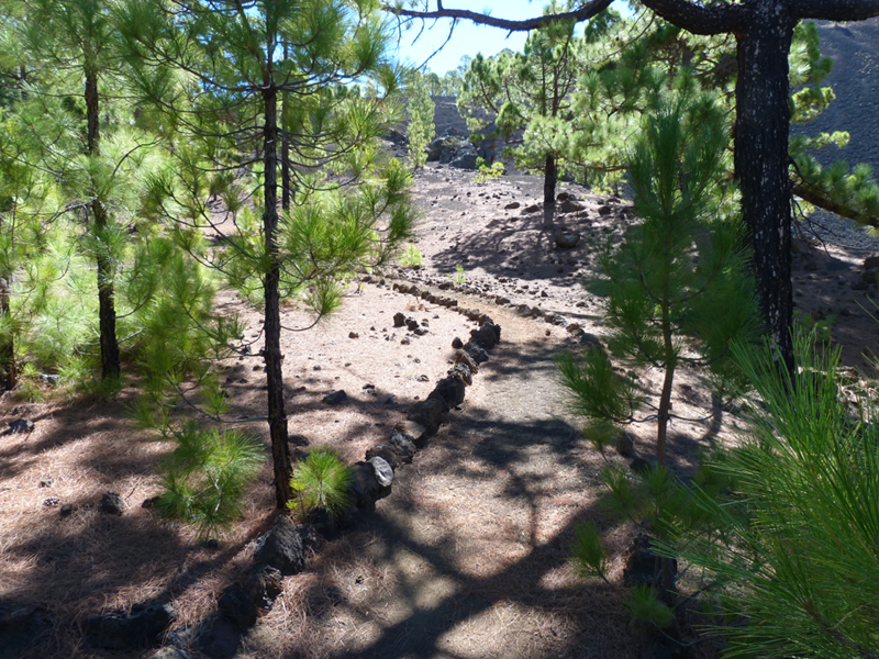 2016-10-11 13-20-17 - Tenerife