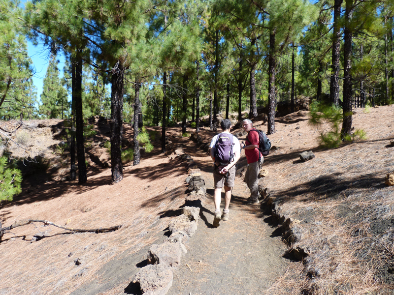 2016-10-11 13-24-56 - Tenerife