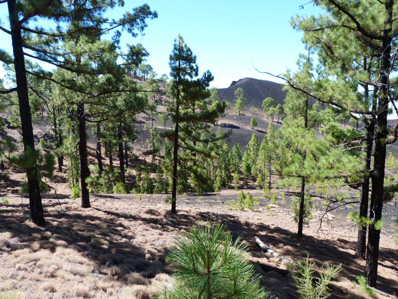 2016-10-11 13-38-20 - Tenerife