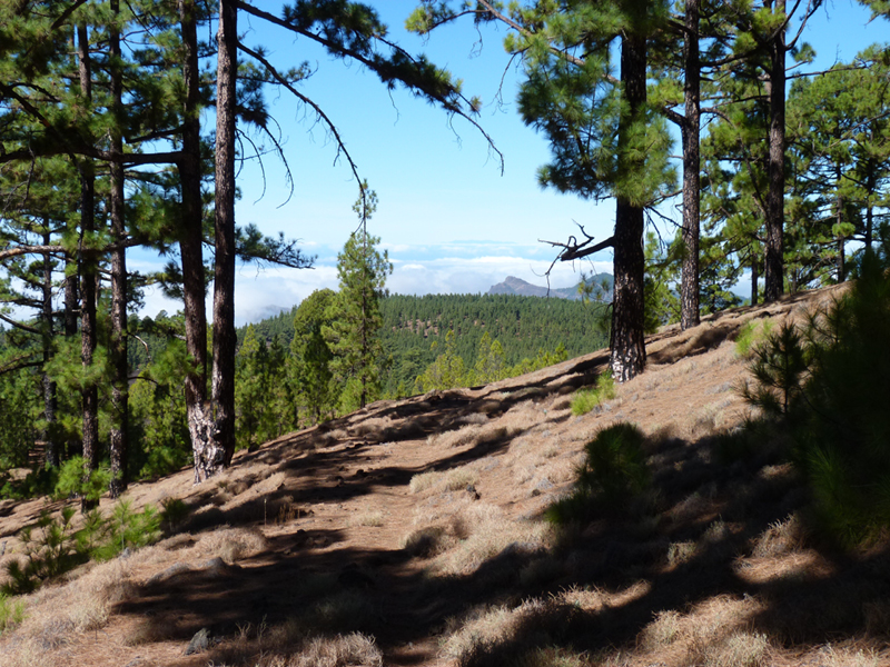 2016-10-11 13-40-28 - Tenerife