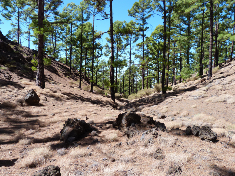 2016-10-11 14-35-48 - Tenerife