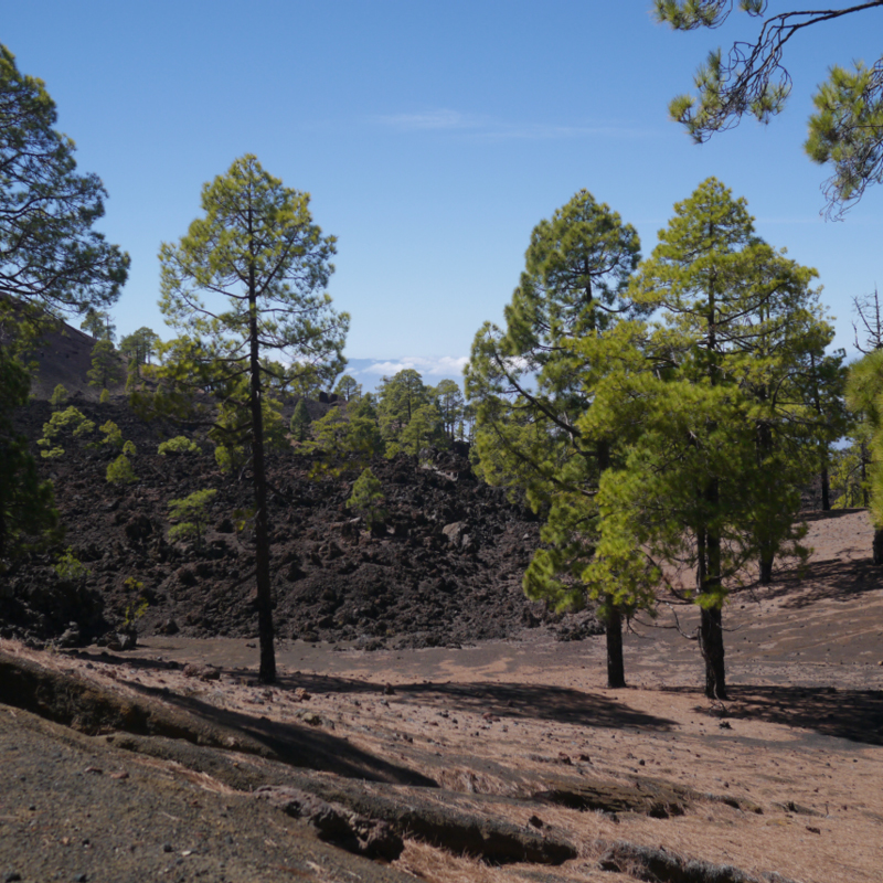 2016-10-11 15-05-39 - Tenerife