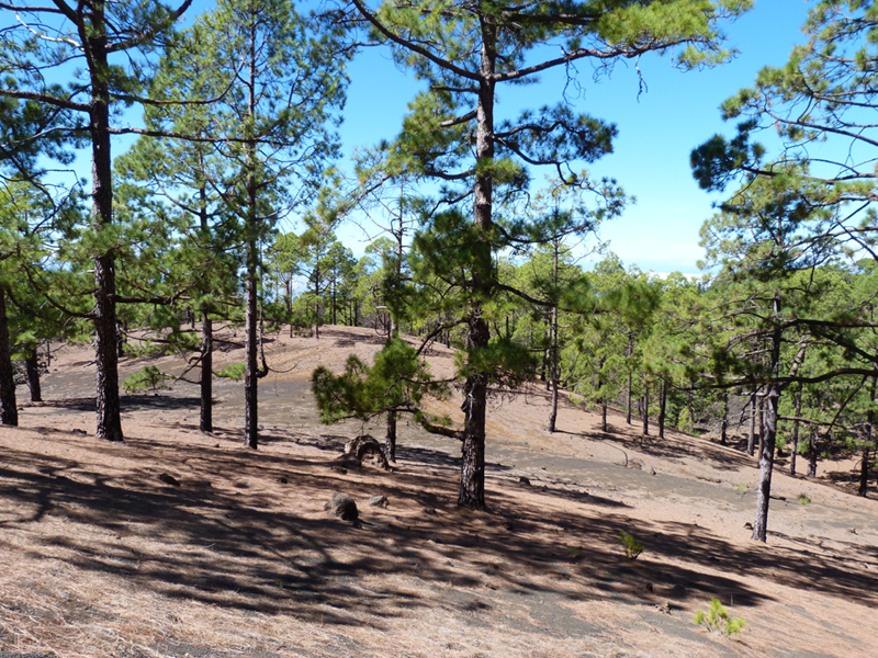 2016-10-11 15-05-52 - Tenerife