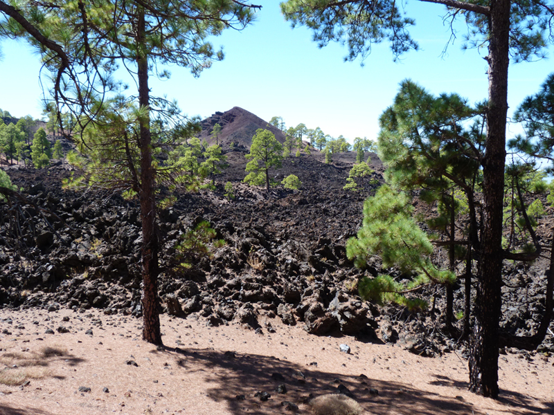 2016-10-11 15-07-11 - Tenerife