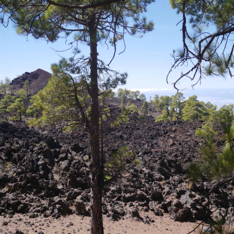 2016-10-11 15-07-14 - Tenerife