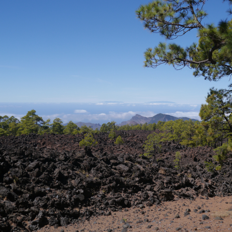 2016-10-11 15-08-35 - Tenerife