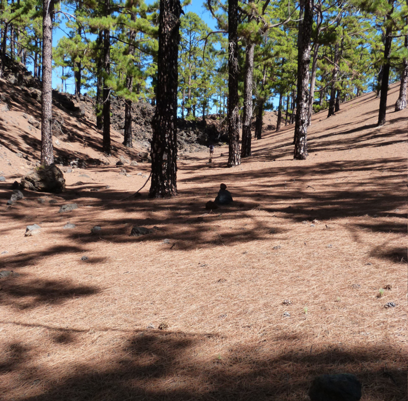 2016-10-11 15-29-55 - Tenerife