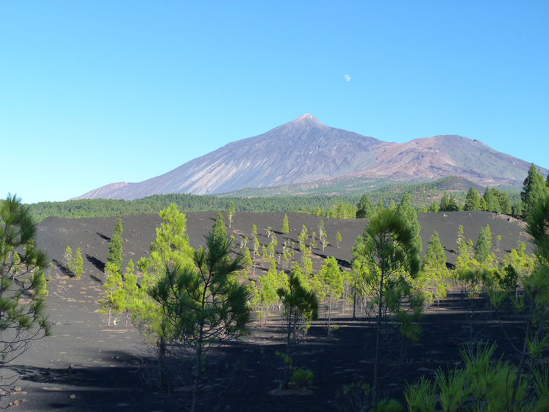 2016-10-11 18-44-56 - Tenerife