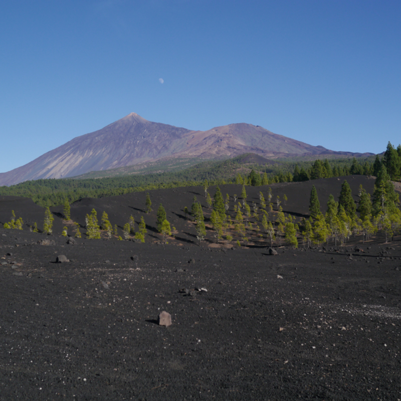 2016-10-11 18-46-06 - Tenerife