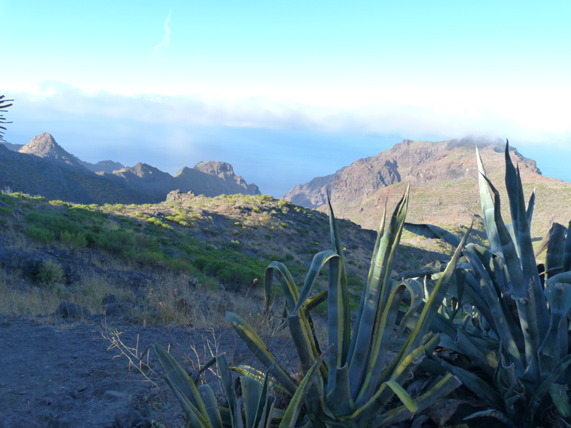 2016-10-12 10-38-52 - Tenerife