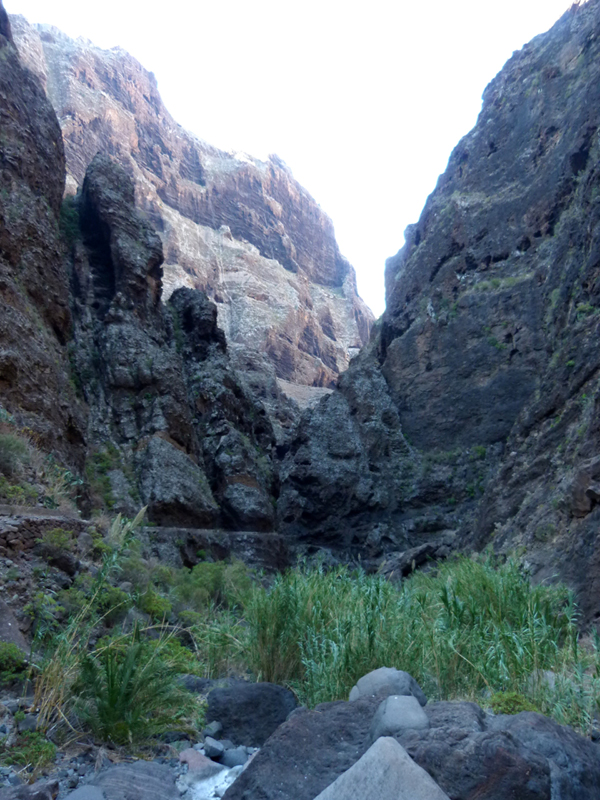 2016-10-12 12-14-44 - Tenerife