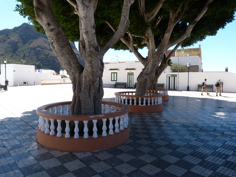 2016-10-13 13-42-25 - Tenerife