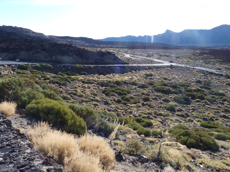 2016-10-14 10-50-00 - Tenerife