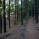 2016-10-11 11-32-40 - Tenerife