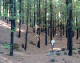 2016-10-11 11-39-31 - Tenerife