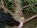 DSCF0076