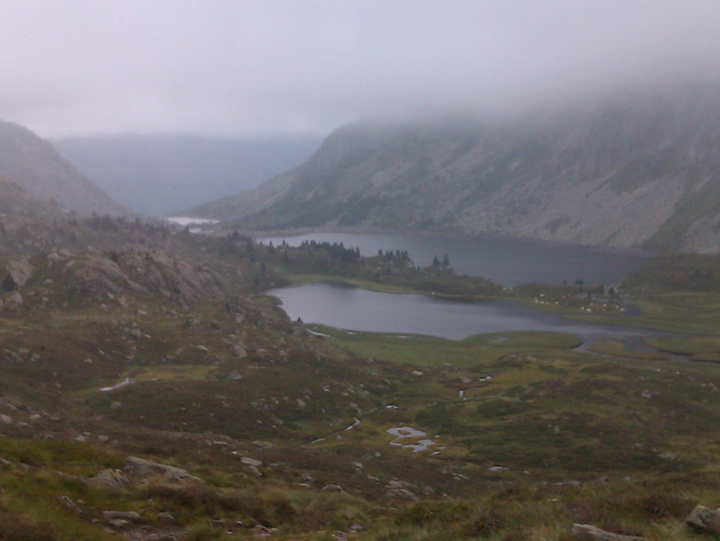 IMAG0081