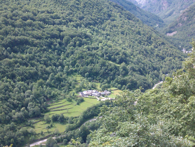 IMAG0087