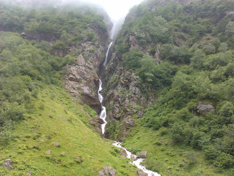 IMAG0090