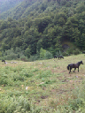 IMAG0039