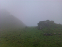IMAG0042