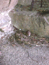 IMAG0046