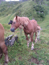 IMAG0049