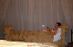hotel 2-10