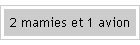 2 mamies et 1 avion