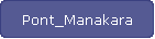 Pont_Manakara