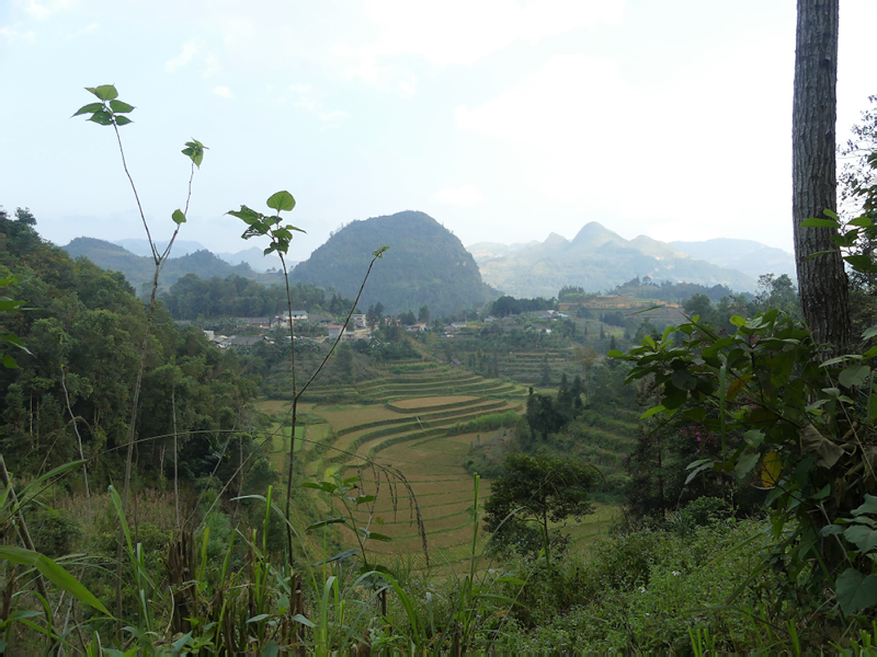 P1000239