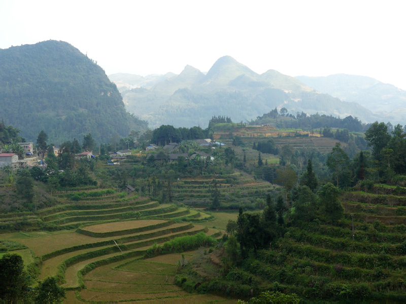 P1000242