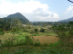 P1000216