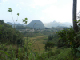 P1000239