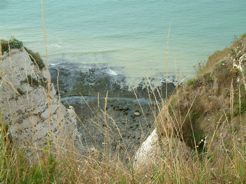 DSCF0077