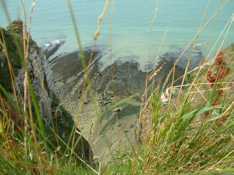 DSCF0081